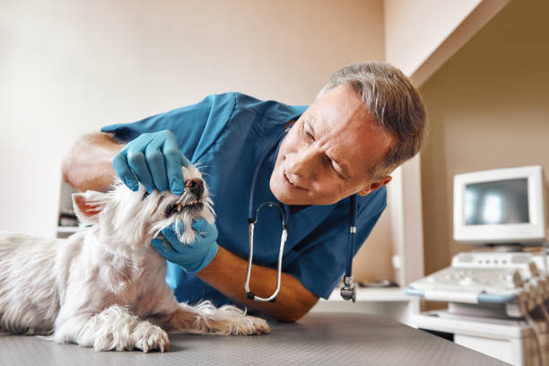 Best 24-Hour Emergency Dentist in Port Gibson, MS